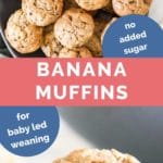 Baby Banana Muffins Long Pin