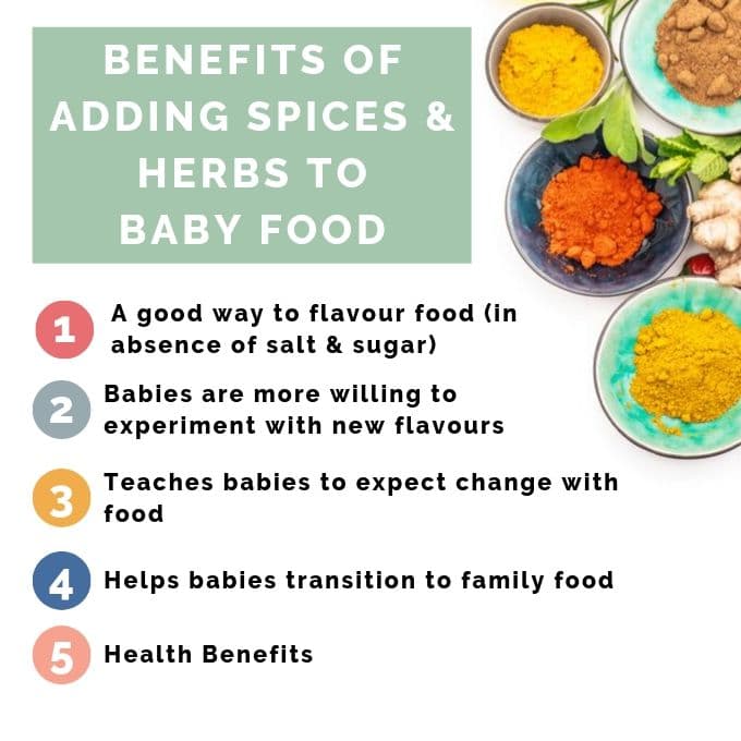 Picture of Spices Next to The Reasons Spices and Herbs Should Be Introduced to Babies