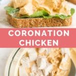 Coronation Chicken Long Pin