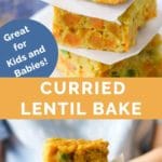 Curried Lentil Bake Long Pin