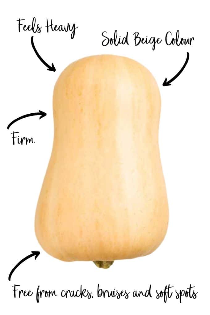 Picture of Butternut Squash with Arrows Showing What to Look For (Feels Heavy, Solid Beige Colour, Firm and Free from Bruises and Soft Spots)