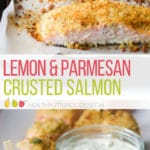 Lemon and Parmesan crusted baked salmon. Great family meal idea, easy to prepare and quick to cook. Served with herby creme fresh dip.