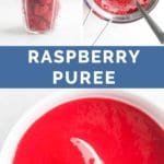 Raspberry Puree Long Pin