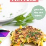 Vegetable Fritters Short Pin