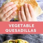 Vegetable Quesadillas Long Pin