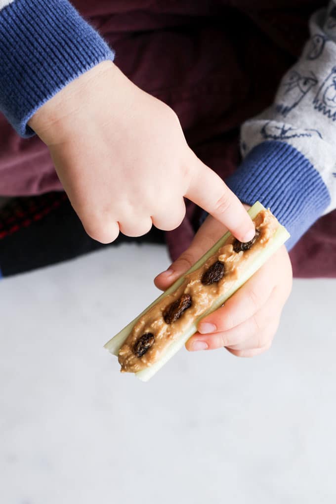 Child Counting the Raisin "Ants on a Log"