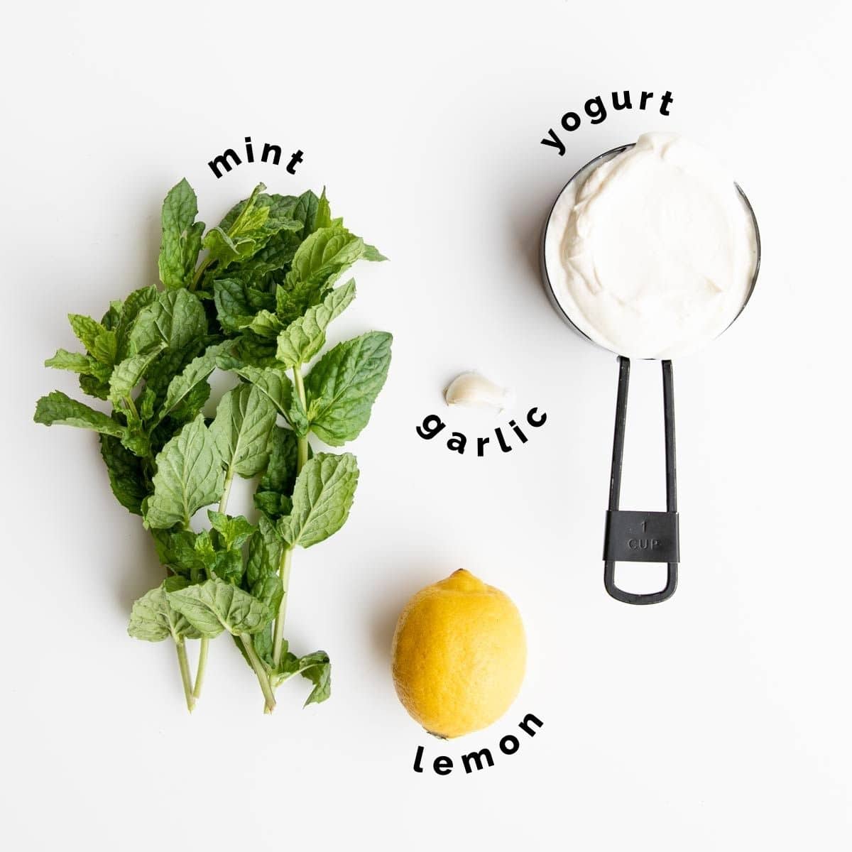 Flat Lay of Ingredients Needed to Make Mint Yogurt Sauce (Labelled)