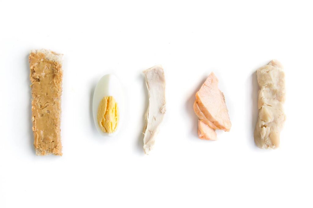 Row of Ways to Serve Protein to Baby (Peanutbutter on Toast Finger, Quarter Egg Wedge, Chicken Cut into Strip, Salmon Flaked, White Beans Mashed Together into Finger Shape