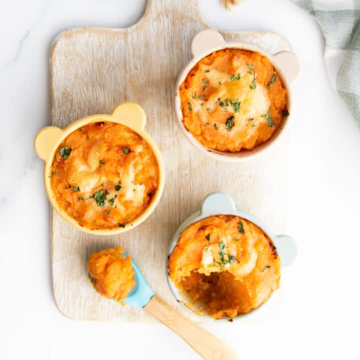 Red Lentil Pie in 3 Baby Dishes with a Spoonful. removed from one.