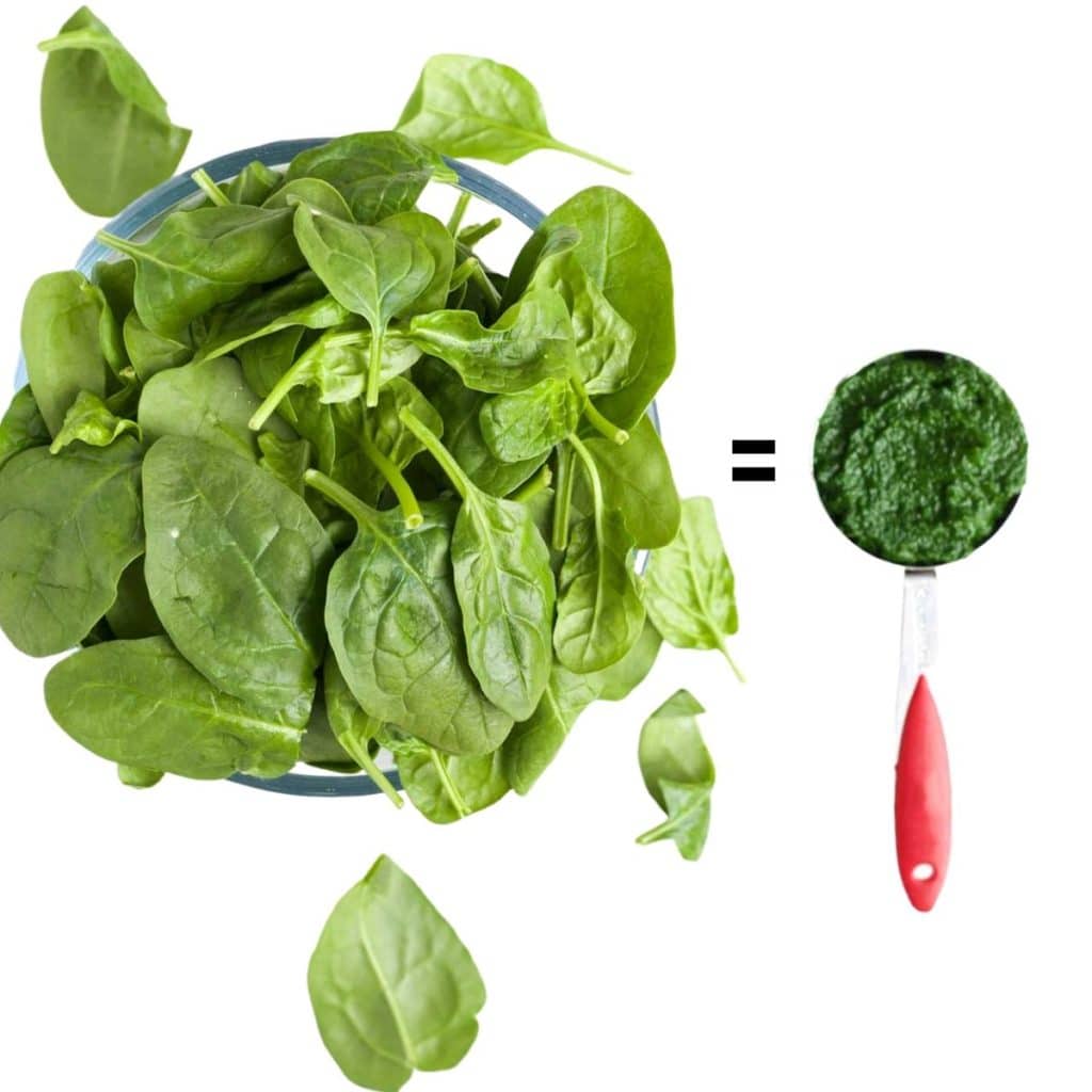 Spinach Before and After Pureeing to Illustrate Yield