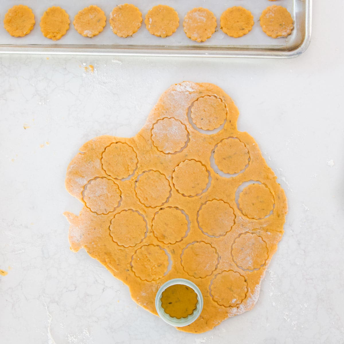 Sweet Potato Dough Rolled and Cut into Circles. 