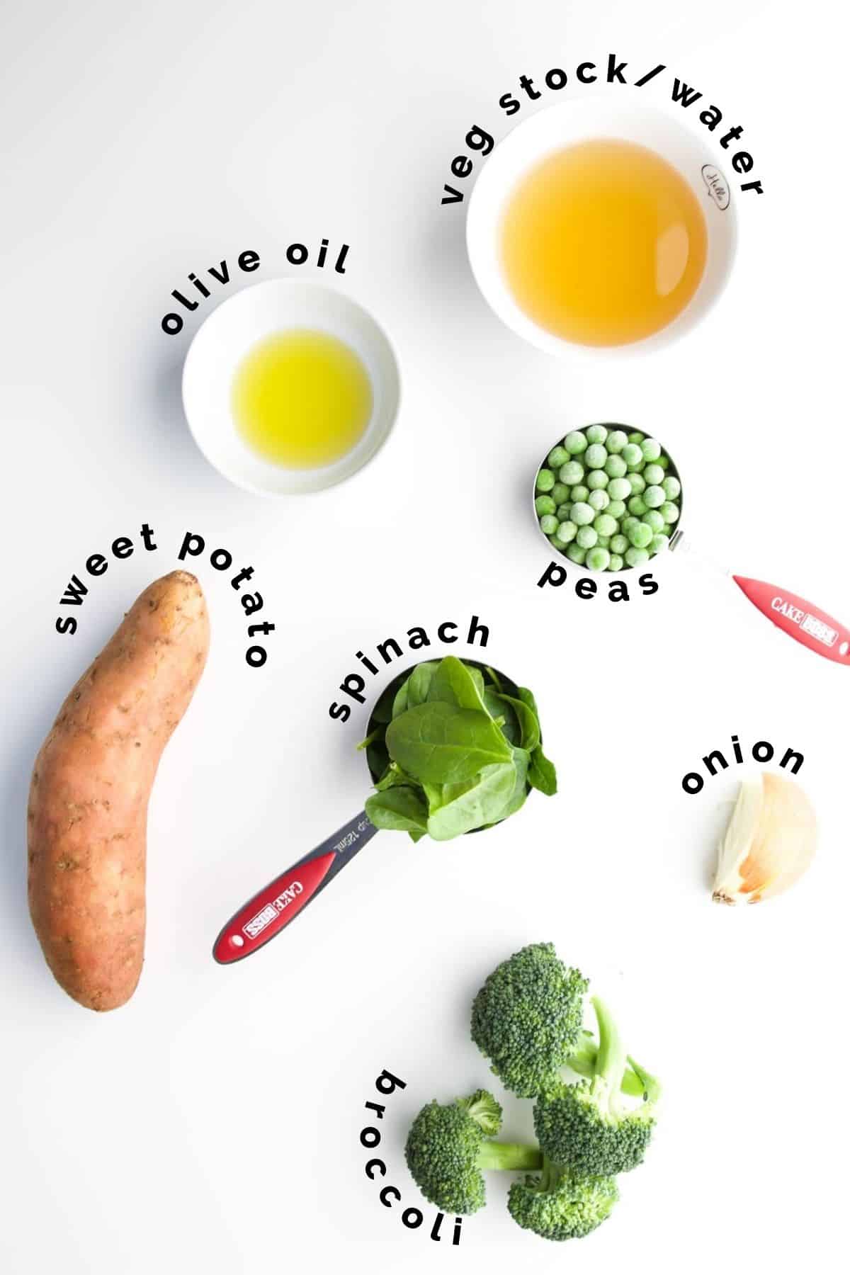 Top Down View of Ingredients Needed to Make Vegetable Puree